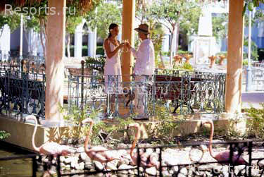 Iberostar Costa Dorada 7